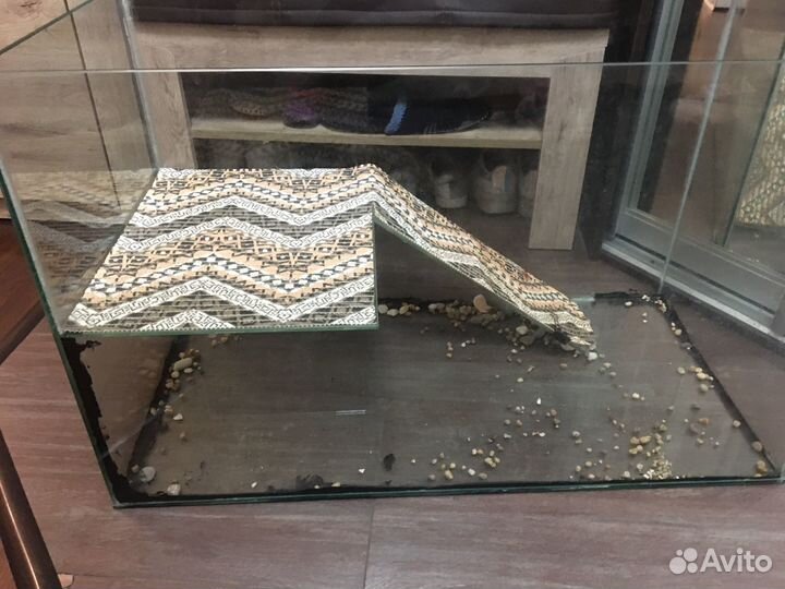 Аквариум для красноухой черепахи