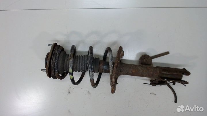 Амортизатор подвески Toyota RAV 4, 2008