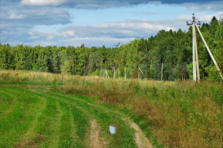 Участок 5,3 сот. (ИЖС)