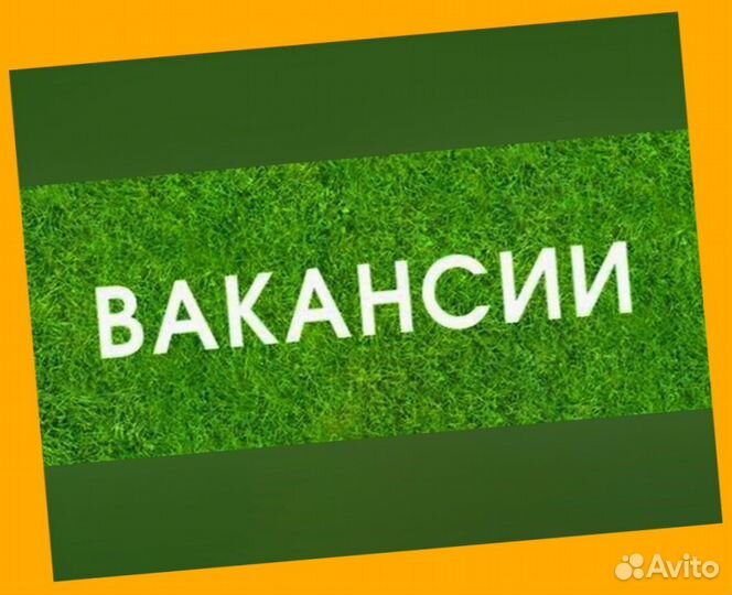 Сборщица продукции Выплаты еженедельно без опыта