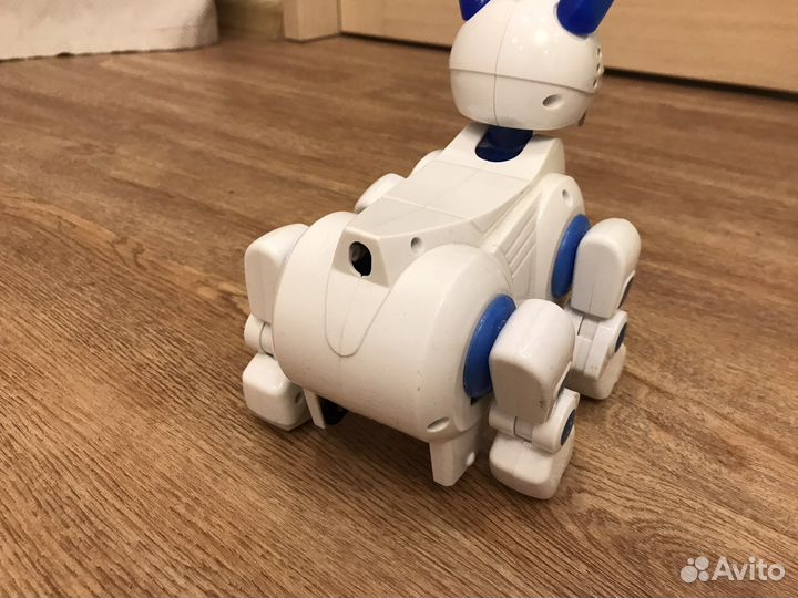 Собака-робот