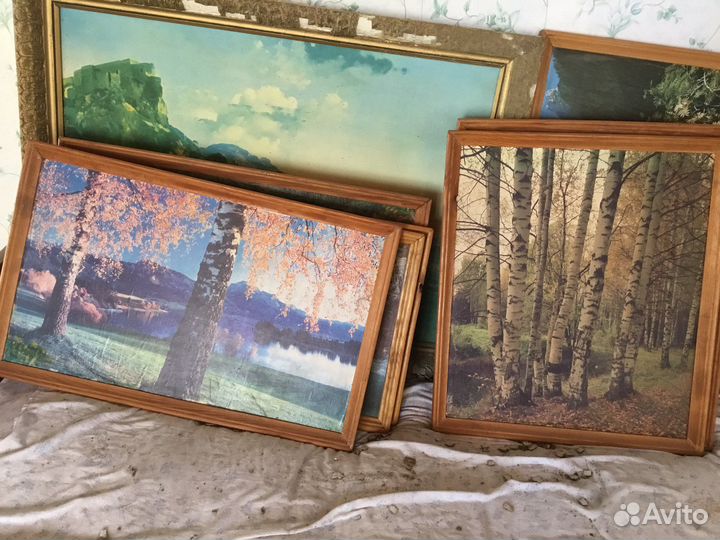 Картины разные, море лес