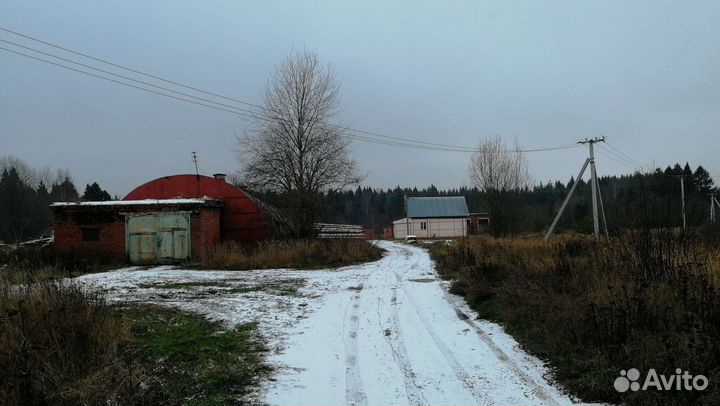 Продам деревоперерабатывающее производство