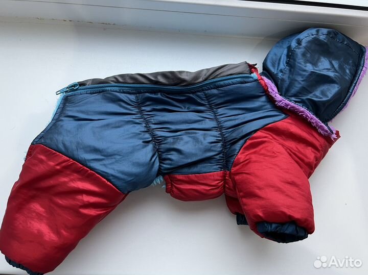 Одежда для собак мелких пород