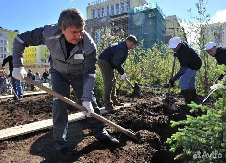 Разнорабочие Грузчики Подсобники Рабочие Апрелевка