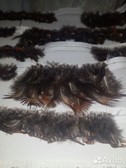 Перья фазана