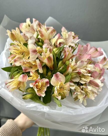 Букет альстромерий