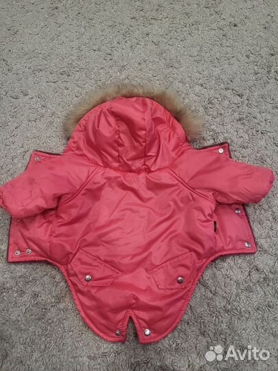 Зимняя куртка для собак