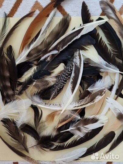 Перья для творчества, декора и украшений