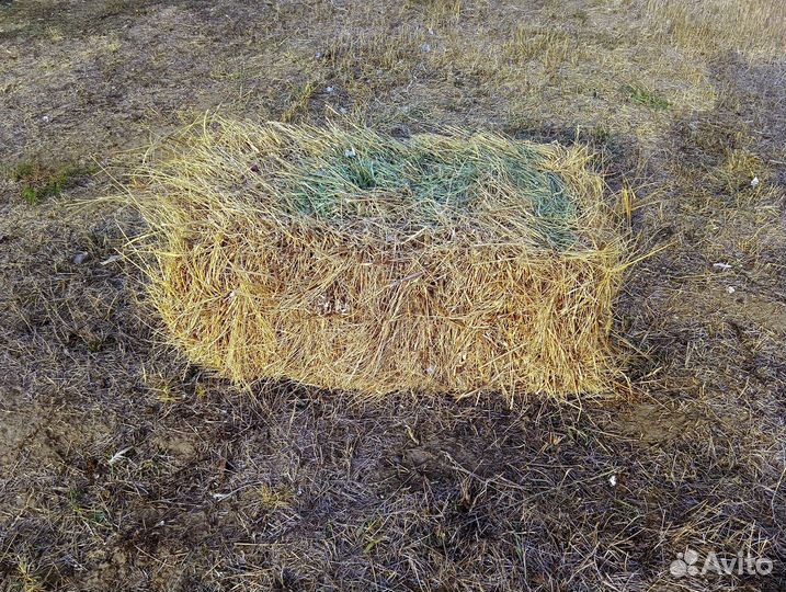 Сено луговое в тюках