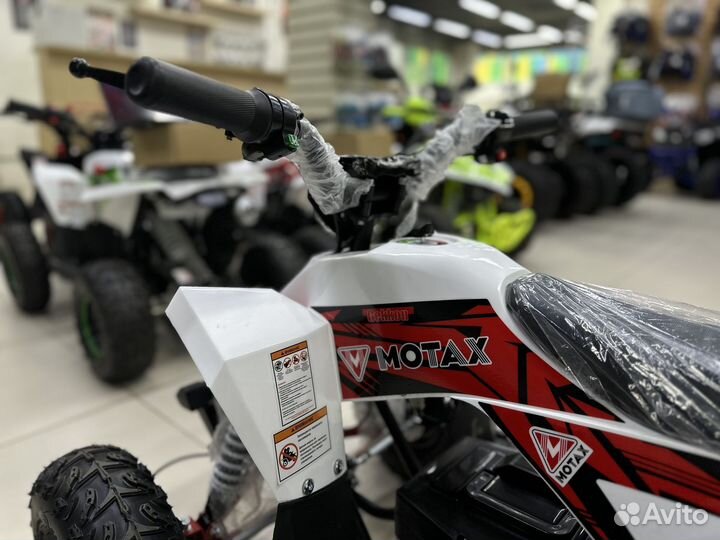 Детский квадроцикл Motax gekkon 1300W