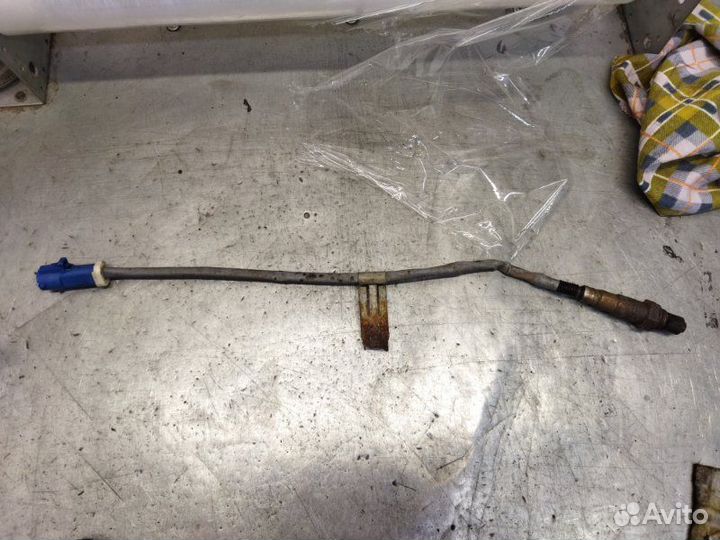 Датчик кислородный Ford Focus 3 хетчбэк 1.6 105