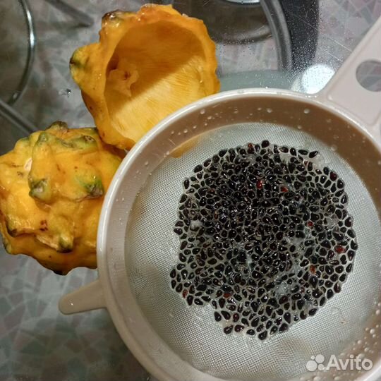 Папайя питахайя гранадилла ананас пассифлора