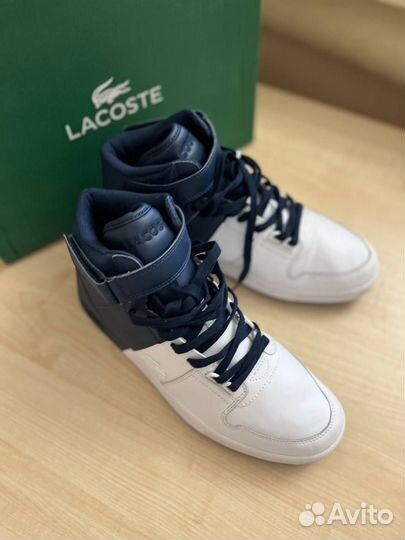 Кроссовки Lacoste мужские