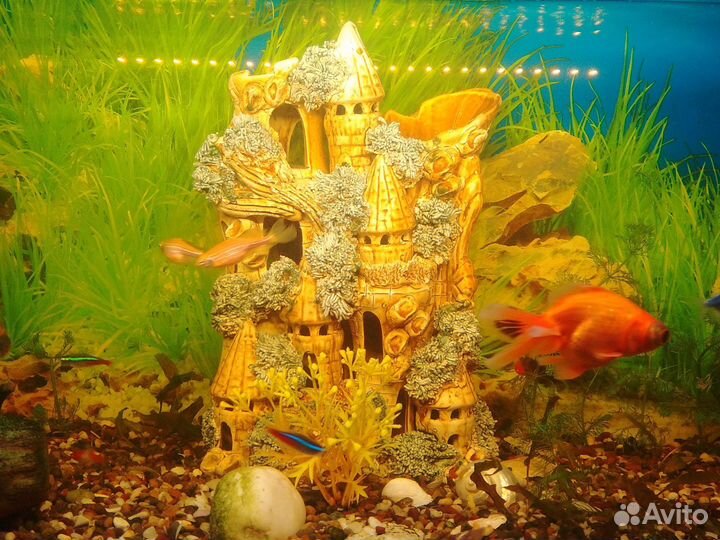 Украшение для аквариума