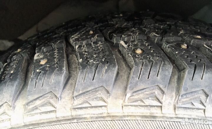 Matador MP 50 Sibir Ice 205/55 R16 91T