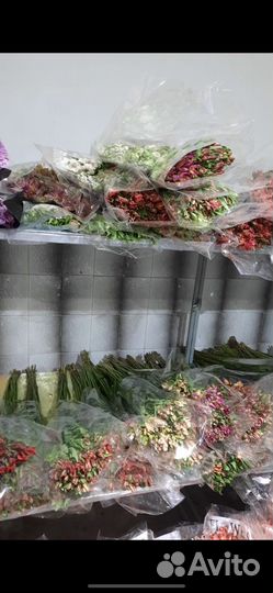 Гвоздика Красная, опт, розница, букеты, доставка