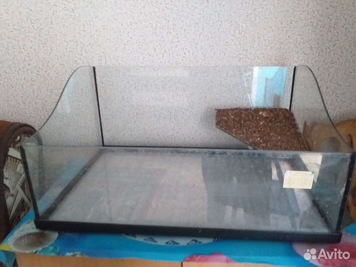 Аквариум Авгурь