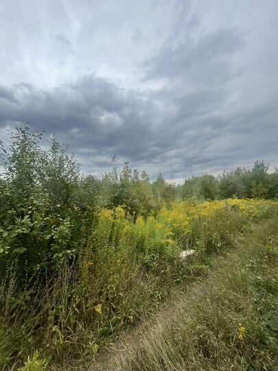 Участок 7,8 сот. (СНТ, ДНП)