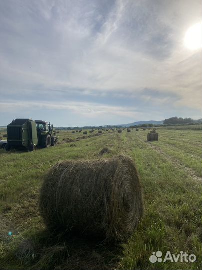 Сено с доставкой