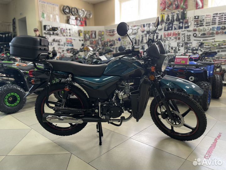 FX 50 (125)
