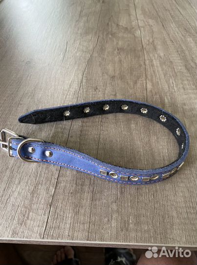 Ошейник для собаки 46см