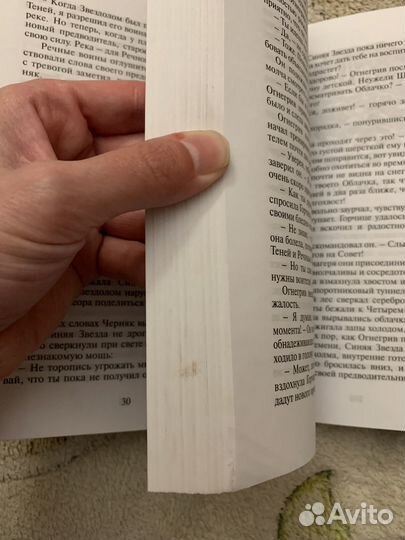 Эрин Хантер - Коты-Воители. Огонь и Лёд