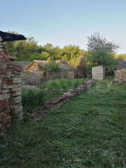 Дом 50 м² на участке 40 сот.