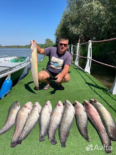 Организация рыбалки и прогулки