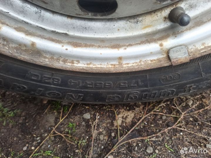 Tunga Nordway 175/65 R14 30