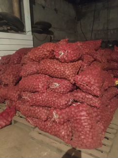 Корм для с х животных