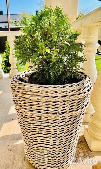 Наикрасивейшие Кашпо для цветов высокое