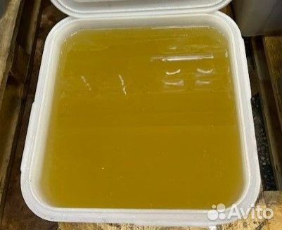 Донниковый мёд оптом Качка 2023 г. Опт