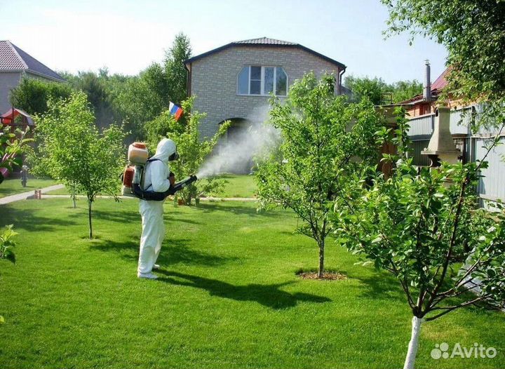 Обработка сада, участков, коттеджных поселков