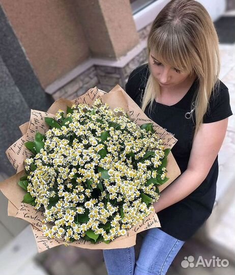 Цветы ромашки