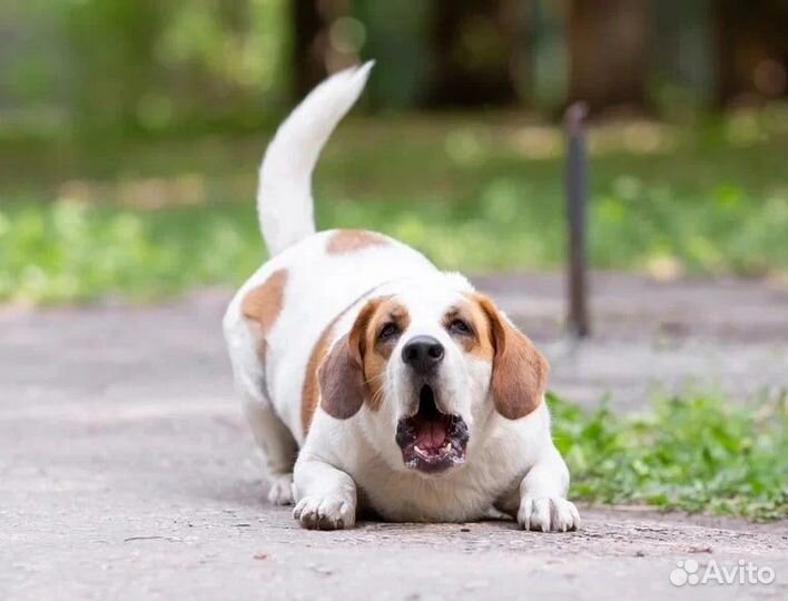 Уникальная Маруся ждет свою семью