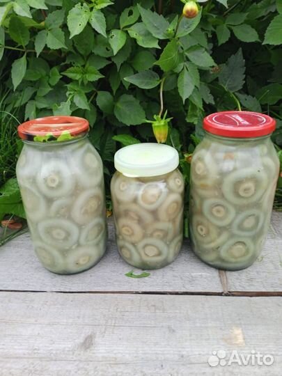 Продам соленые грузди