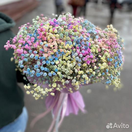 Гипсофила микс Новосибирск №535