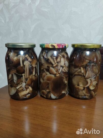 Грибы маринованные