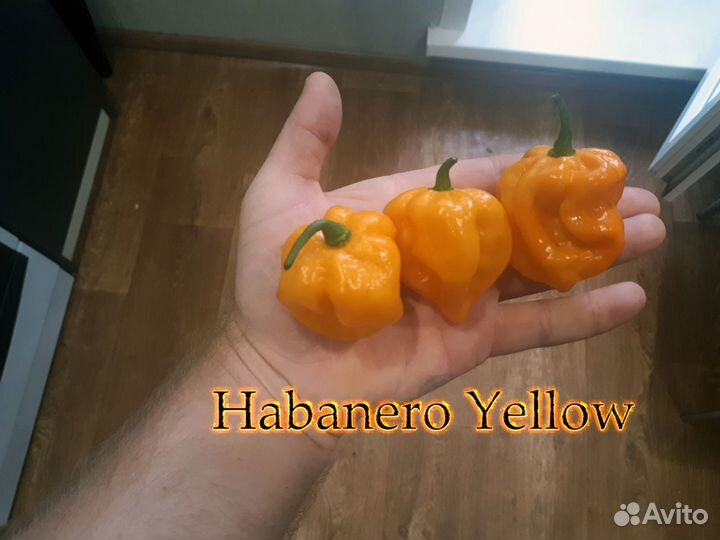 Хабанеро и другие острые перцы(Семена)