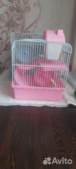 Джунгарский хомяк с клеткой