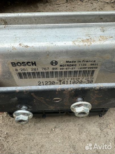 Эбу мозги на ниву