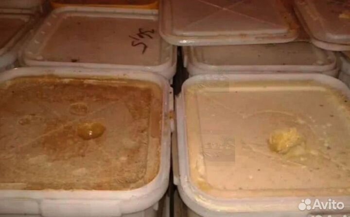 Крем мед алтайский со вкусом клубники