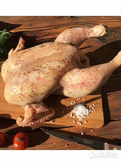 Мясо домашнего бройлера