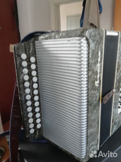 Гармонь Восток