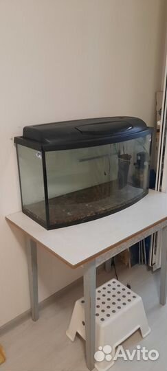 Аквариум на 100 литров