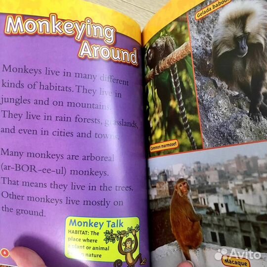 National Geographic Kids. Level 2