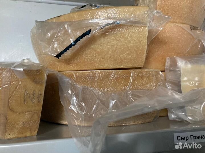 Масло оливковое от производителя