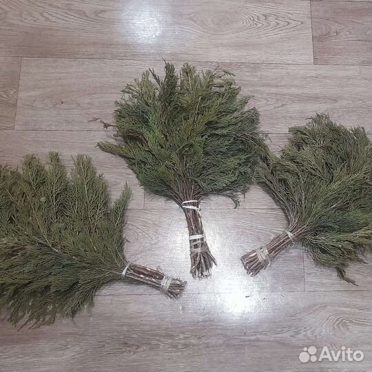 Веники березовые