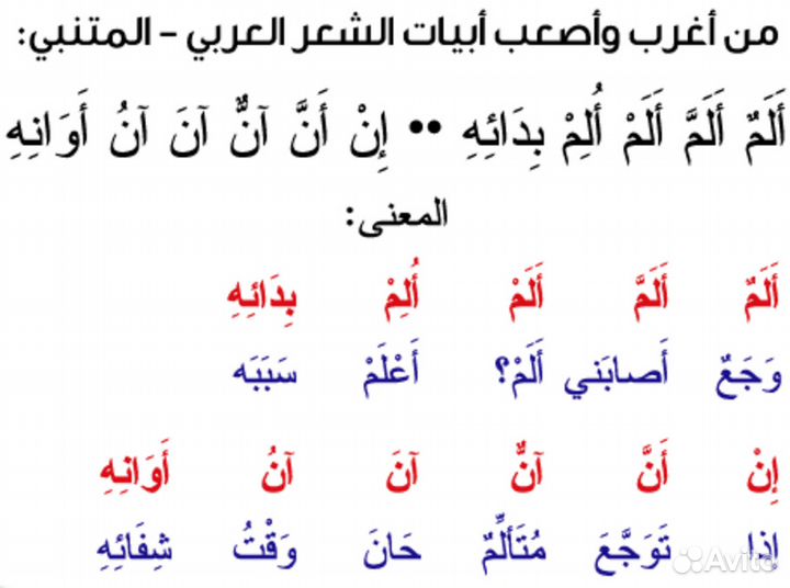 Репетитор по арабскому языку